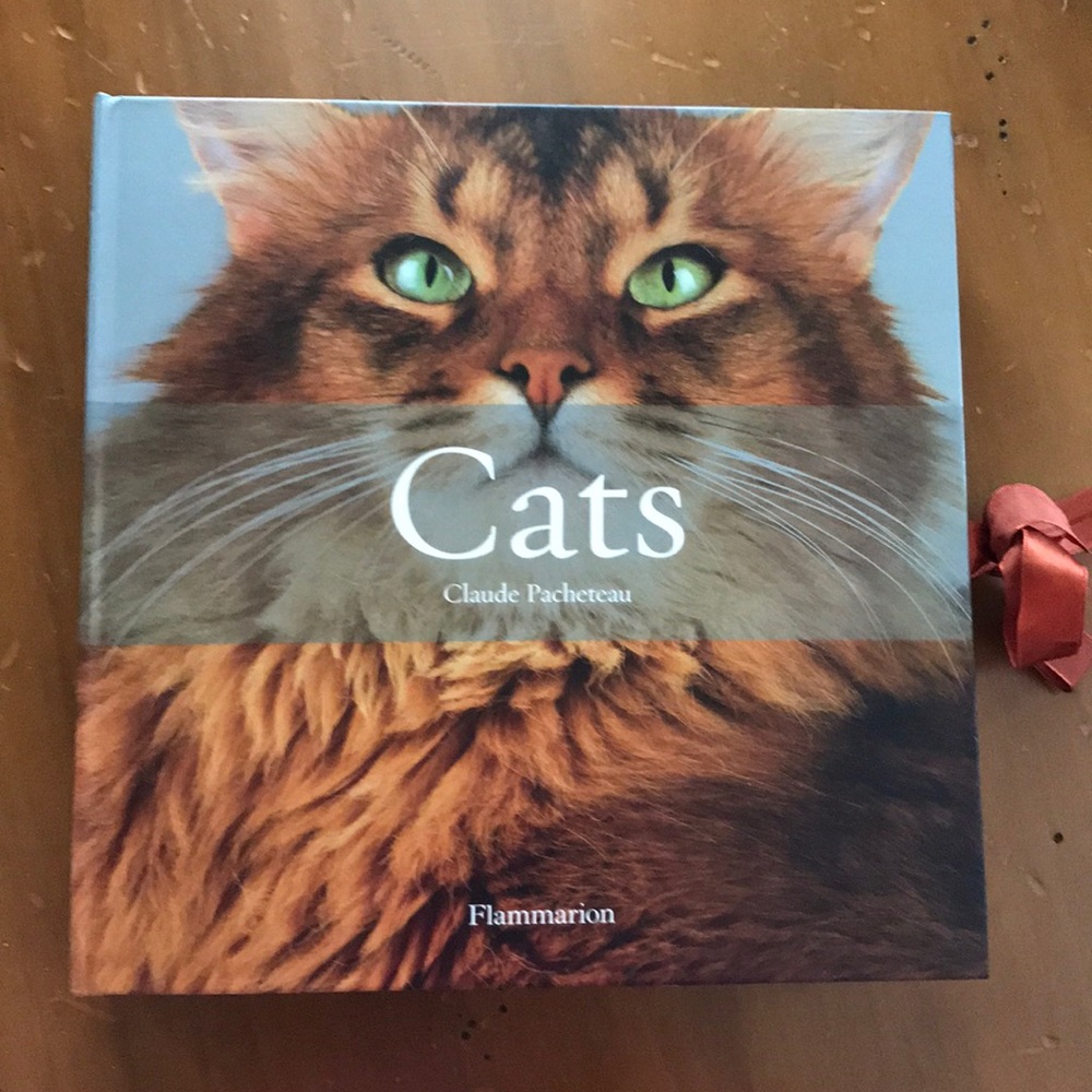 CATS Book by Claude Pacheteau